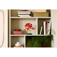 ����������� LEGO Botanicals ������ � ���������� ��������� ����� 10348