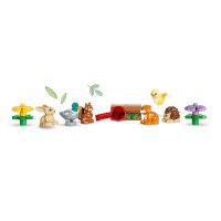 ����������� LEGO DUPLO ˳� �������� �� ������ ��������� 10480