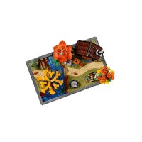 ���������� LEGO Icons ������ ��������� ��� 11372