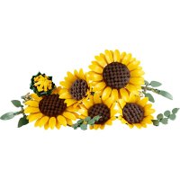 ����������� LEGO Botanicals ����� ��������� 11502
