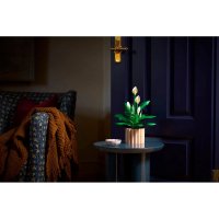 ����������� LEGO Botanicals ���������� 11504