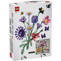 ����������� LEGO Botanicals ����� ���� ��⳿ ����� 11507