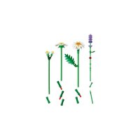 ����������� LEGO Botanicals ������� 11508