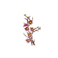 ����������� LEGO Botanicals ó��� �����볿 11510