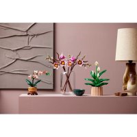 ����������� LEGO Botanicals ó��� �����볿 11510