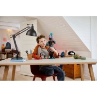 ����������� LEGO Minecraft ���� ��������� 21279