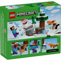 ����������� LEGO Minecraft ������� ���� � ���� 21583