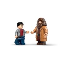 ����������� LEGO Harry Potter ���� � ����: ����� � ������ ������ 76459