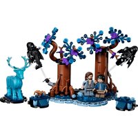 ����������� LEGO Harry Potter ����������� ��: �������� �������� 76475