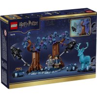 ����������� LEGO Harry Potter ����������� ��: �������� �������� 76475