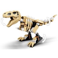 Виставковий скелет тиранозавра