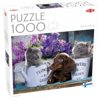 ���� Tactic 1000 ��� ������� ����?